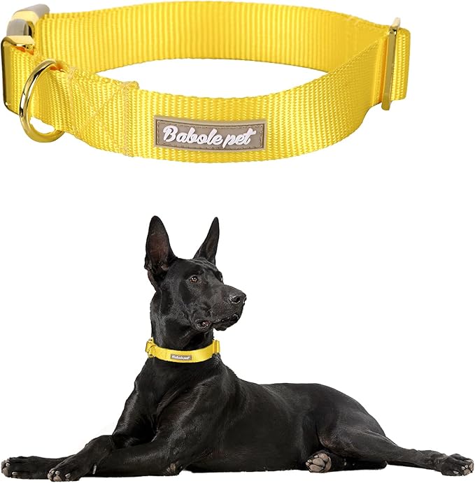 Nylon Dog Collar - Adjustable Yellow Soft Webbing Dog Collars for Small Medium Large Dogs Boy Girl Puppy Collar with Safety Metal Buckle XS