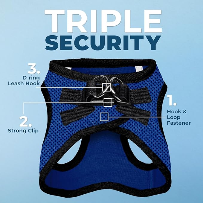 Best Pet Supplies Voyager Step-in Air All Weather Mesh Harness and Reflective Dog 5 ft Leash Combo with Neoprene Handle, for Small, Medium and Large Breed Puppies - Royal Blue/Black Trim, X-Large