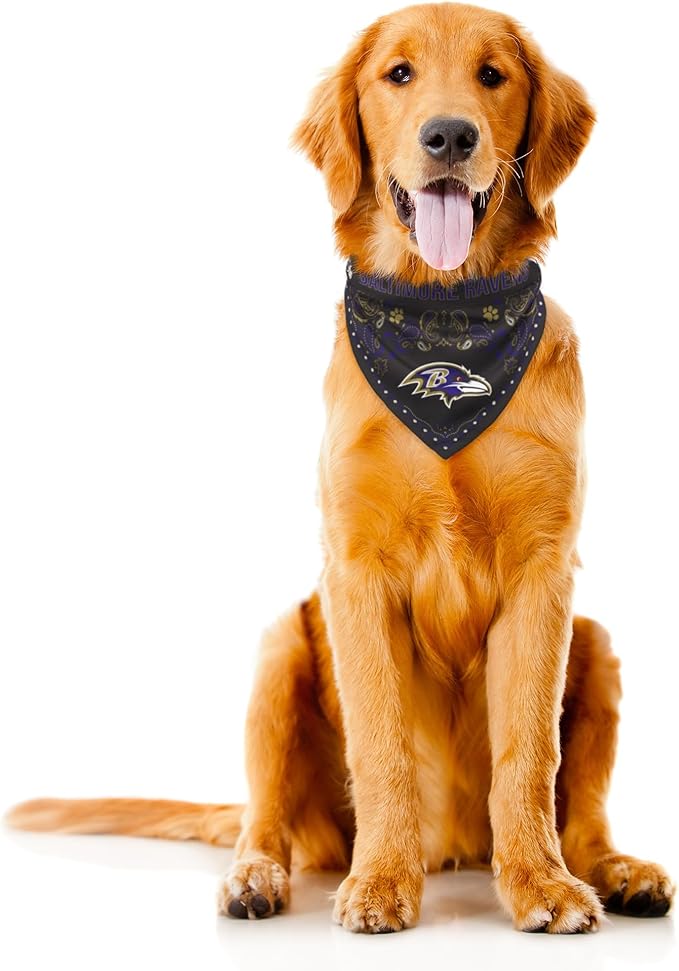 Littlearth NFL Denver Broncos Pet Bandana