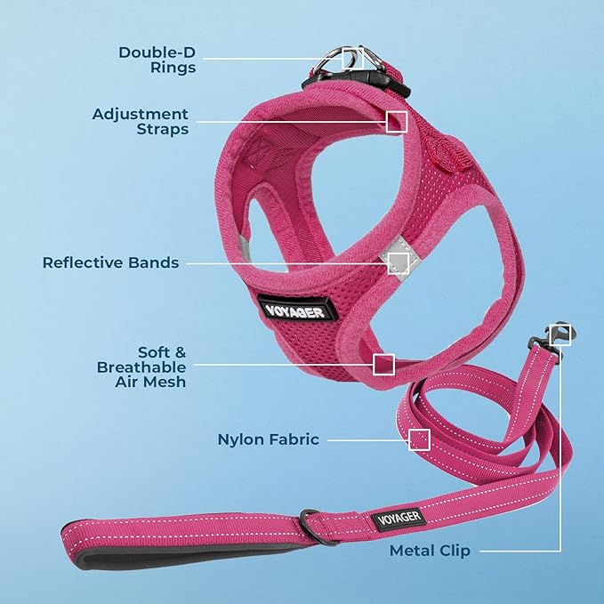 Best Pet Supplies Voyager Step-in Air All Weather Mesh Harness and Reflective Dog 5 ft Leash Combo with Neoprene Handle, for Small, Medium and Large Breed Puppies - Set (Fuchsia), M