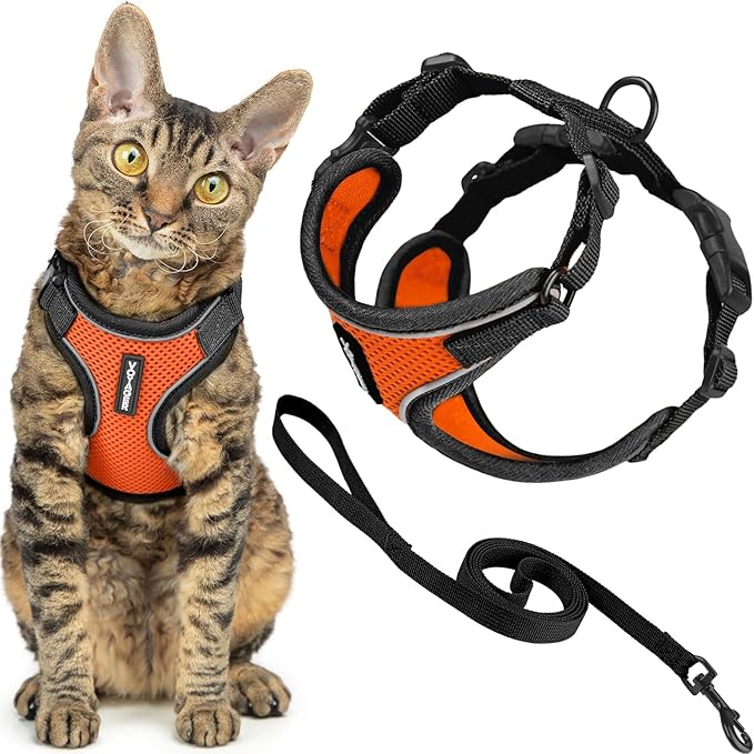 Voyager Escape-Proof Step-in Lock Cat Harness & 5ft Neoprene-Handle Leash Set All-Weather Mesh with Reflective Stitching for Small to Large Cats by Best Pet Supplies, Black Trim-Orange (327), XXXS