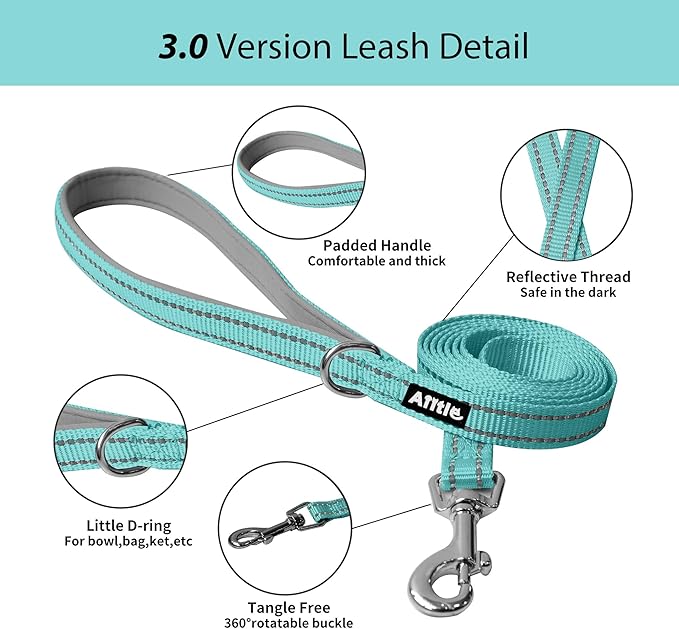 AIITLE Dog Harness, No-Pull Cat Harness with a Leash, Adjustable Reflective Dog Vest, Cat Harness Escape Proof, Outdoor Walking, Running,Training for Extra Small Dogs and House Cats Turquoise XXXS