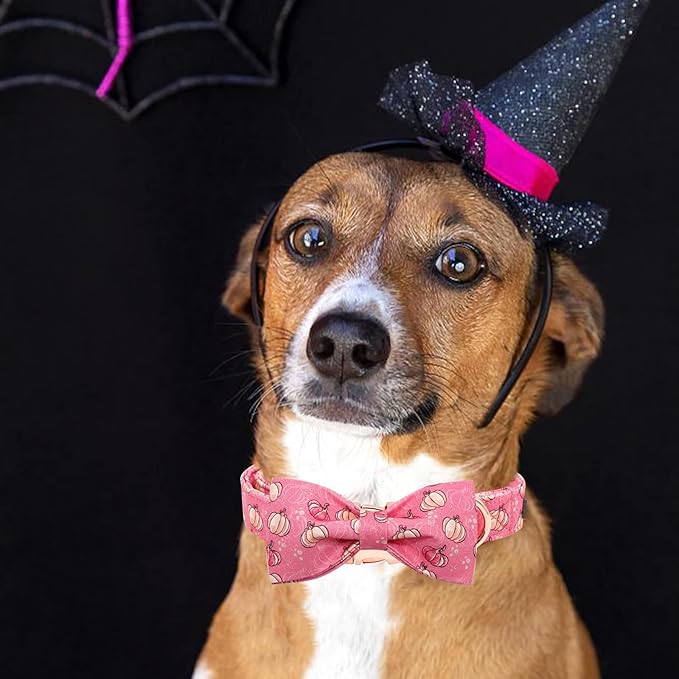 Elegant Little Tail Dog Collar with Bow, Adjustable Halloween Pumpkin Bowtie Collar for Small to Large Dogs