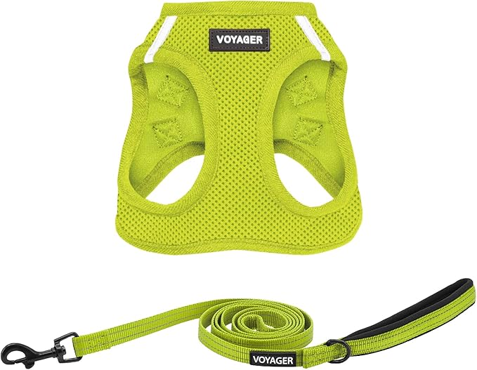 Best Pet Supplies Voyager Step-in Air All Weather Mesh Harness and Reflective Dog 5 ft Leash Combo with Neoprene Handle, for Small, Medium and Large Breed Puppies - Set (Lime Green), S