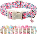 Floral Dog Collar, Cute Girl Dog Collars - Pastel Wildflowers Pattern Spring Summer Puppy Collar, Adjustable Female Dog Collars for Small Medium Large Dogs XL