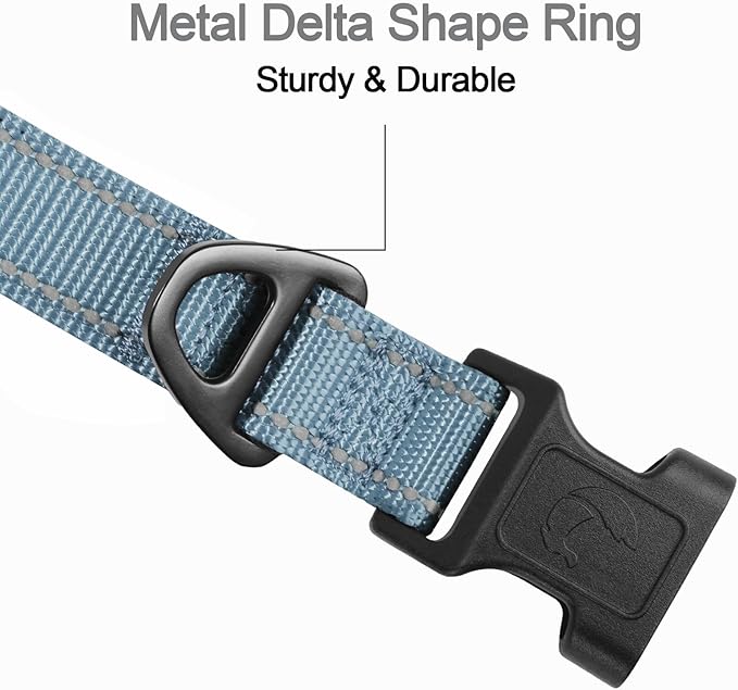 Joytale Reflective Dog Collar, Soft Neoprene Padded, Metal D-Ring, Nylon Pet Collar Adjustable for Puppy and Small Dogs, Gray, XS