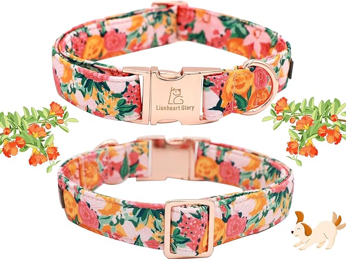 Lionheart Glory Dog Collar, Dog Collar with Flower, Cute Floral Pattern Pet Collar Adjustable Dog Collar for Large Dogs