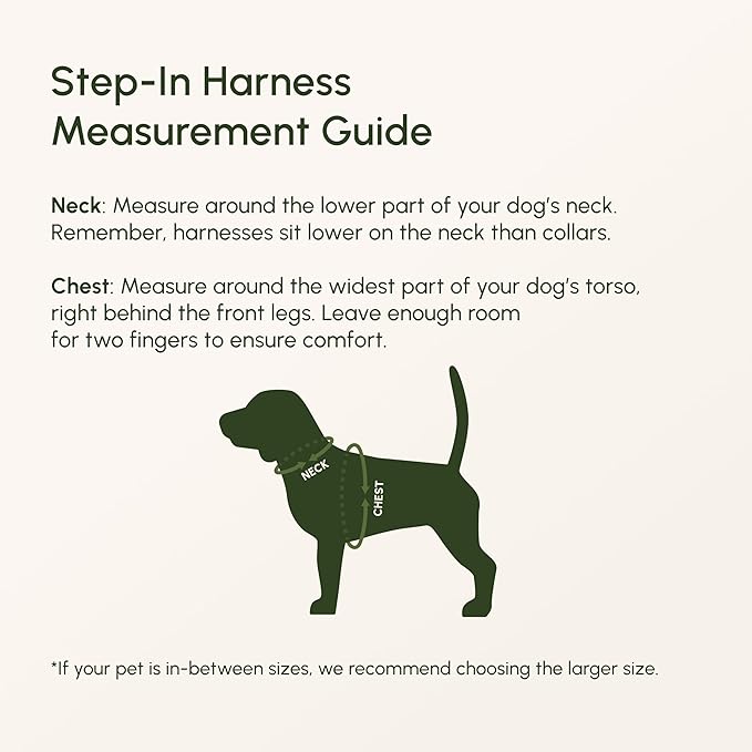 Downtown Pet Supply Step in Dog Harness for Large Dogs - Adjustable, Escape Proof Dog Harness with Reflective Trim - All-Weather, Fast-Drying Padded Mesh Fabric - Tangerine, X-Small