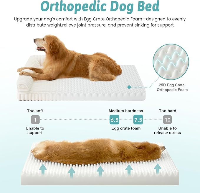 Cute Dog Bed for Large Dogs, Faux Rabbit Fur Orthopedic Foam Dog Bed with Sides, Removable Washable Cover & Waterproof Lining, Comfortable Pet Couch, Cream (44" L x 32" W x 7" Th)