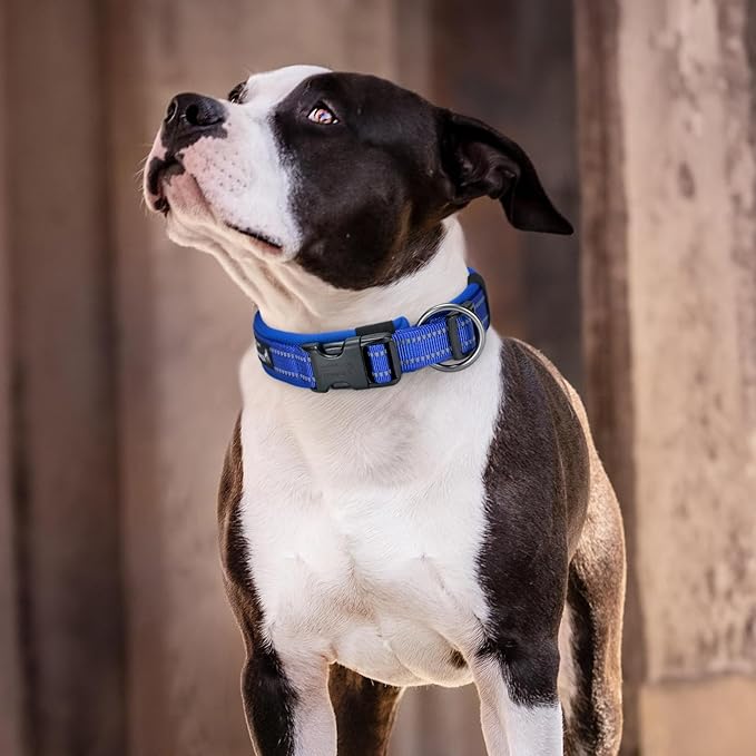 EXCELLENT ELITE SPANKER Reflective Dog Collar Classic Soft Padded Breathable Nylon Adjustable Pet Collar with Quick Release Buckle for Boy Girl Male Female Small Medium Large Dogs Training(Black-M)