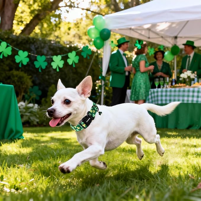 DOGWONG St Patrick's Day Dog Collar-Cute Green Clovers Dog Collars, Adjustable Shamrock Pet Collars Trefoil Puppy Collars with Quick Release Buckle for Girl&Boy Dogs,L