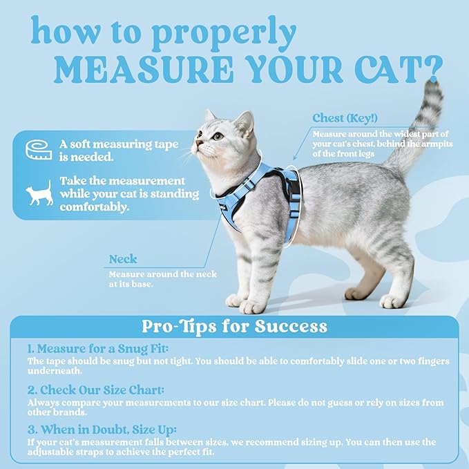 rabbitgoo Cat Harness and Leash for Walking, Escape Proof Soft Adjustable Vest Harnesses for Cats, Easy Control Breathable Reflective Strips Jacket, Light Blue, XXS
