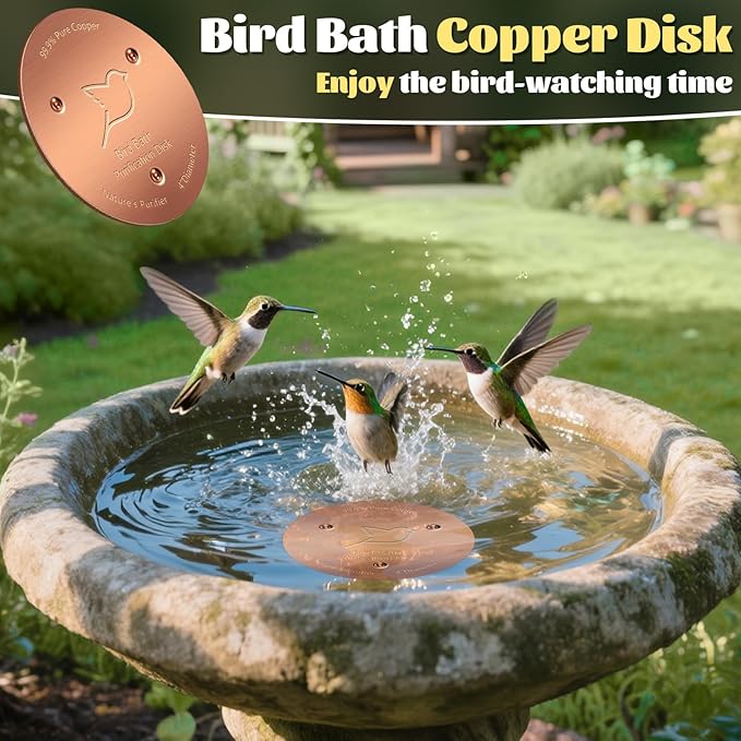 NNG 1 Pack Bird Bath Copper Disk,1mm Thick Reinforced 99.9% Pure Copper Bird Bath Purification Disk with Triple-Point Support,Physical Safe Water Cleaner for Outdoor Birdbaths Bowls,All-Season Use