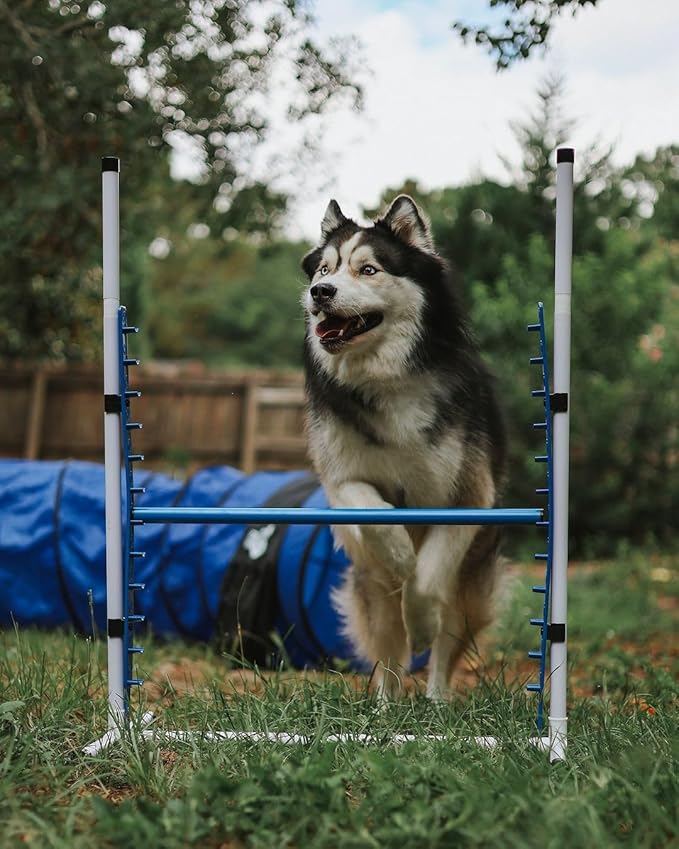 Better Sporting Dogs Premium Starter Dog Agility Set w/Safety-Focused Features | 5Pc Agility Kit | Bar Jump w/Cup Strips | Breakaway Tire Jump | Weave Poles | 10’ Tunnel & Sandbags | Pause Box