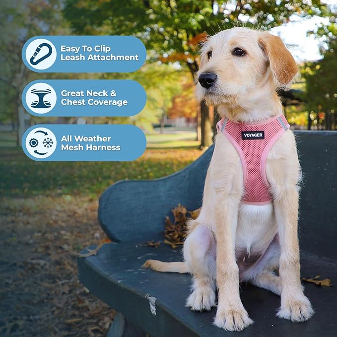 Best Pet Supplies Voyager Step-in Air All Weather Mesh Harness and Reflective Dog 5 ft Leash Combo with Neoprene Handle, for Small, Medium and Large Breed Puppies - Set (Pink), S