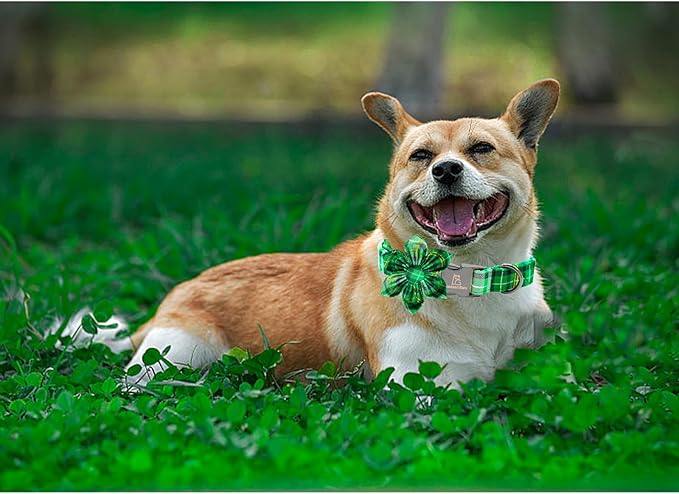 Lionheart glory St. Patrick's Day Dog Collar with Flower Dog Collar for Small Dogs, Green Plaid Cute Collars Spring Dogs Collars Flower Puppy Heavy Duty Cute