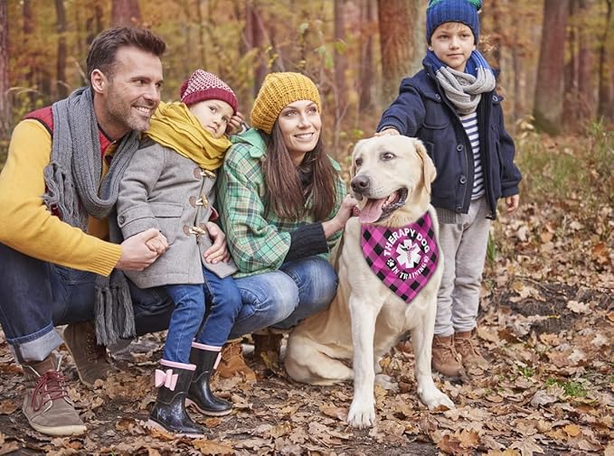 Dog Bandana, Therapy Dog Please Pet Me with, Dogs Scarf Classical Printing, Dogs Scarf Accessories, Doggy Kerchief Pet Kerchief, Christmas Birthday Thanksgiving Doggy Gift A07