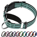 Martingale Dog Collar, Adjustable Nylon Reflective Collar with Quick Release Buckle (Apple Green, Large)