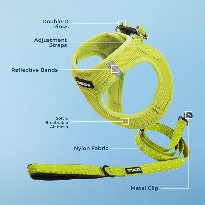 Best Pet Supplies Voyager Step-in Air All Weather Mesh Harness and Reflective Dog 5 ft Leash Combo with Neoprene Handle, for Small, Medium and Large Breed Puppies - Set (Lime Green), XS