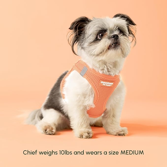 Downtown Pet Supply Step in Dog Harness for Large Dogs - Adjustable, Escape Proof Dog Harness with Reflective Trim - All-Weather, Fast-Drying Padded Mesh Fabric - Tangerine, Large