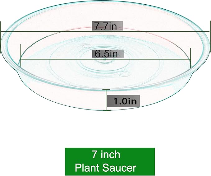 6 Pack of 7 inch Plant Saucer, Heavy Duty Plastic Plant Water Tray 7 inch Round, Flower Plant Saucers for Indoors No Holes, Plant Dishes Saucer for Planter 7"/8" (7", Cement)