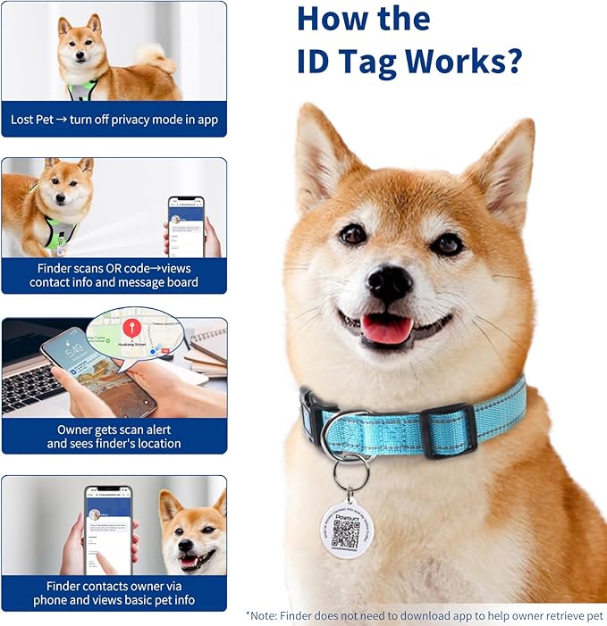Reflective Dog Collar for Small Dogs with Dog Tags Personalized & Quick Release Buckle, Adjustable and Comfortable Nylon Pet Collar, Blue