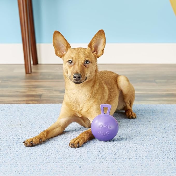 Jolly Pets Tug-n-Toss Heavy Duty Dog Toy Ball with Handle, 4 Inches/Petite, Purple (404 PR)