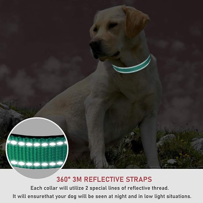 Reflective Dog Collar with Buckle Adjustable Safety Nylon Collars for Small Medium Large Dogs, Green S