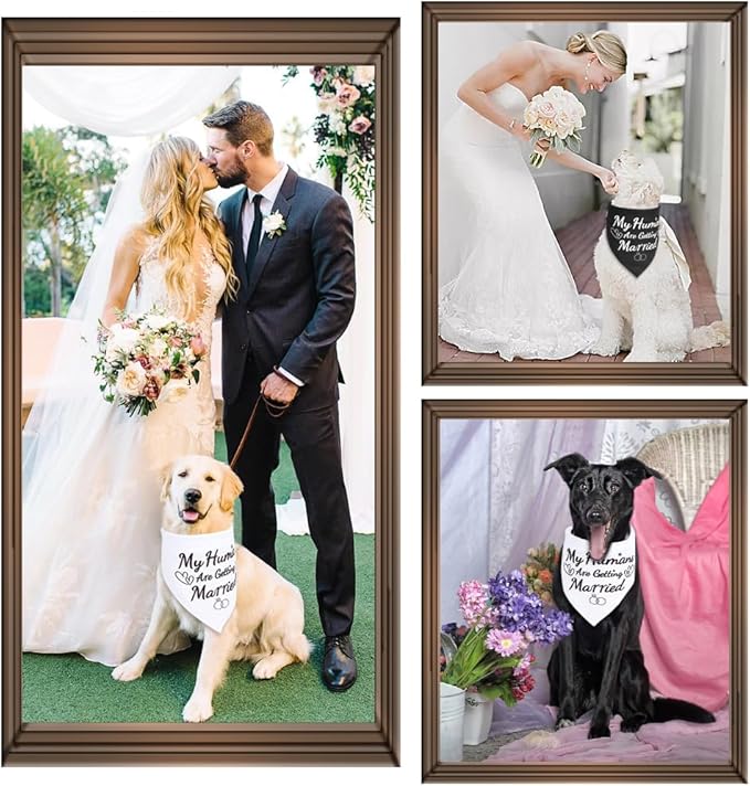 SZEE 2 Pack My Humans are Getting Married Dog Bandanas, Wedding or Engagement Gift for Couples, Dog Wedding Bandanas, Bridal Shower Gifts for Bride, Engagement Party Decorations (White & Black, S)