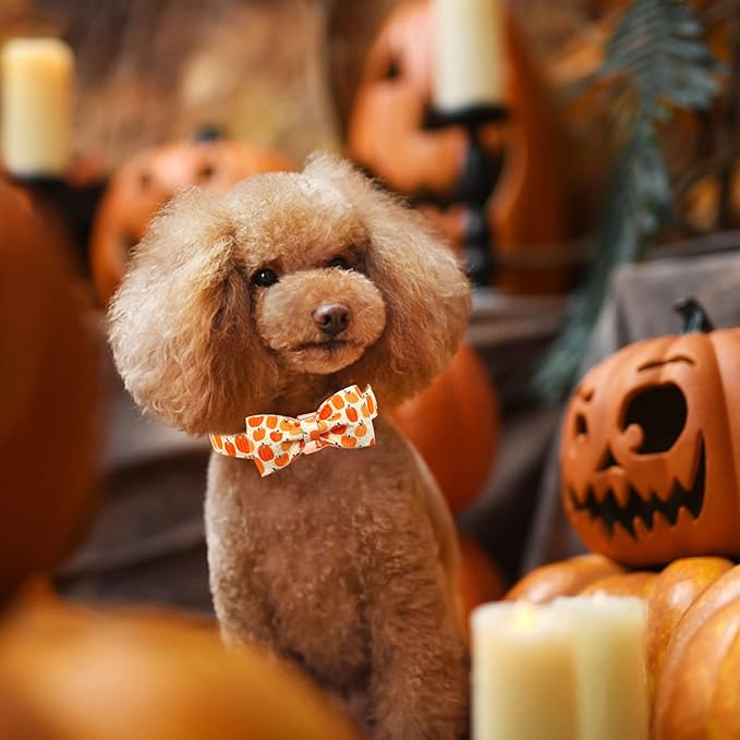 Dog Collar - Halloween Pumpkin Bowtie Dog Collars Gift Soft Bow Collar Pet Adjustable Metal Buckle Pet Collar for Small Dogs