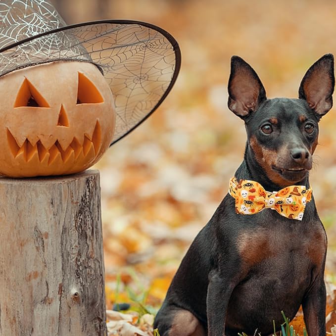 Halloween Dog Collar, Pet Collar Bow Fall Puppy Collar Girl Boy Holiday Pet Collars Gift Bow Cute Soft Puppy Collar for Medium Dogs