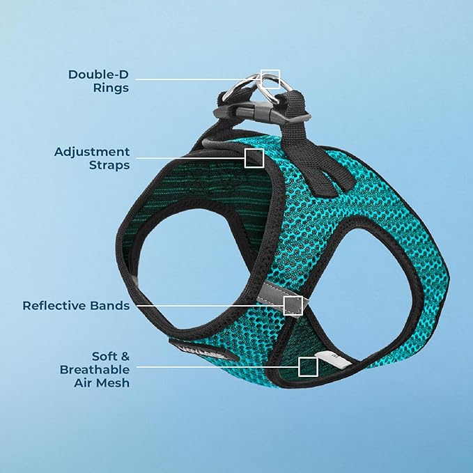 Best Pet Supplies - All Weather Mesh/Plush, Reflective, No Pull Harness for Small, Medium Dogs, Cats - Secure with Hook & Loop Fastener, Buckle, Double D-Rings - Turquoise 2-Tone, XL