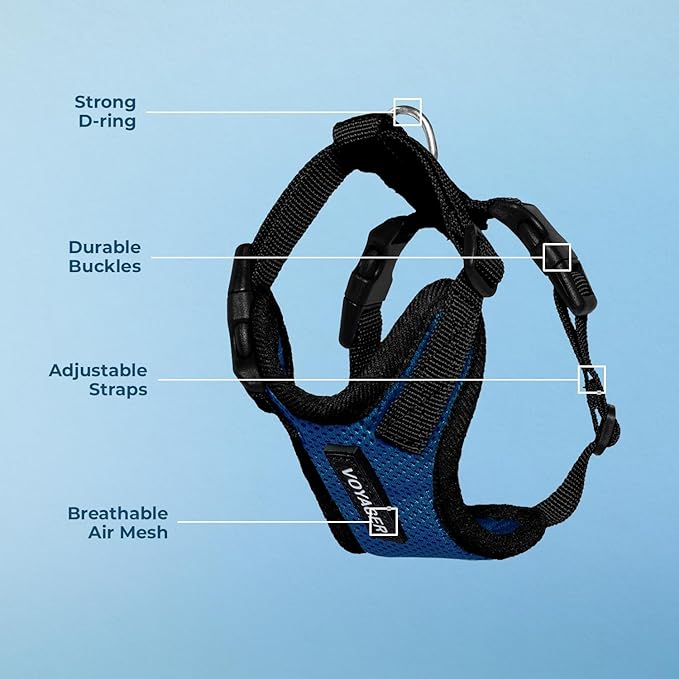 Voyager Step-in Pet Harness - All Weather Mesh, Adjustable Step in Harness for Cats and Dogs by Best Pet Supplies - Royal Blue/Black Trim, M