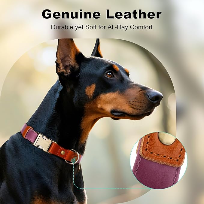 Plutus Pet Genuine Leather & Hemp Dog Collar – Adjustable Heavy Duty Pet Collar with Quick Release Metal Buckle, Soft & Stylish for Puppy and Small, Medium, Large Dogs (Purple, M)