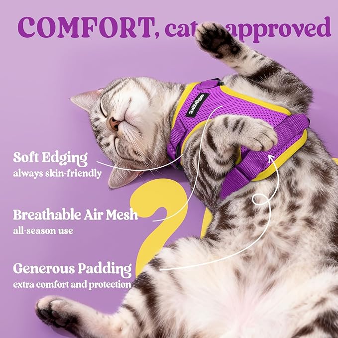 rabbitgoo Cat Harness and Leash for Walking, Escape Proof Soft Adjustable Vest Harnesses for Cats, Easy Control Breathable Reflective Strips Jacket, Purple&Yellow,XXS