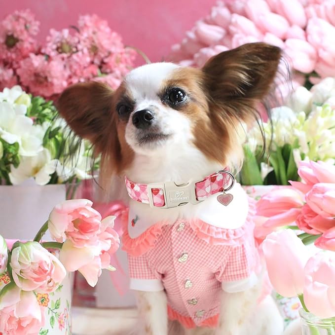Valentines Dog Collar for Medium Dogs - Cute Valentine Pink Hearts Girl Dog Collars, Adjustable Girly Puppy Collar with Quick Release Buckle for Female Dogs M