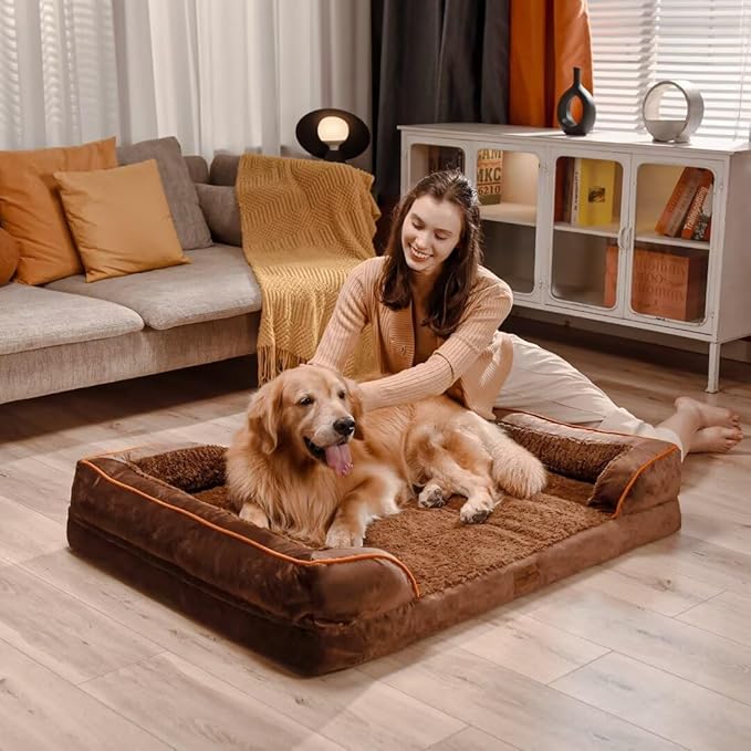 Comfort Expression Orthopedic Dog Bed for Extra Large Dogs 42x30 Inch, Waterproof Egg Crate Foam XL Pet Bed with Removable Bolsters, Dog Couch with Washable Cover & Non-Slip Bottom, Dark Brown