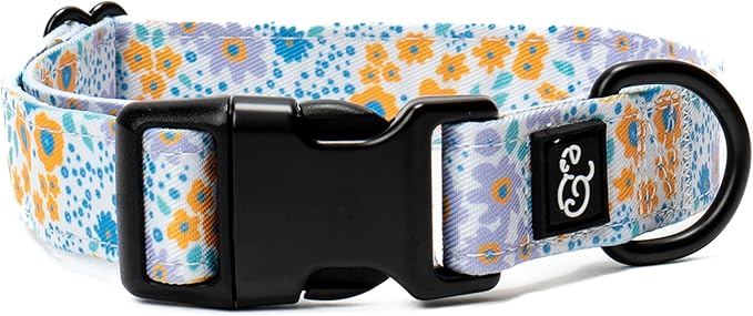 Lucy & Co. Among The Wildflowers Dog Collar - Durable Lightweight Designer Collar for Pets - Adjustable Metal Safety Buckle - Purple Floral - Medium