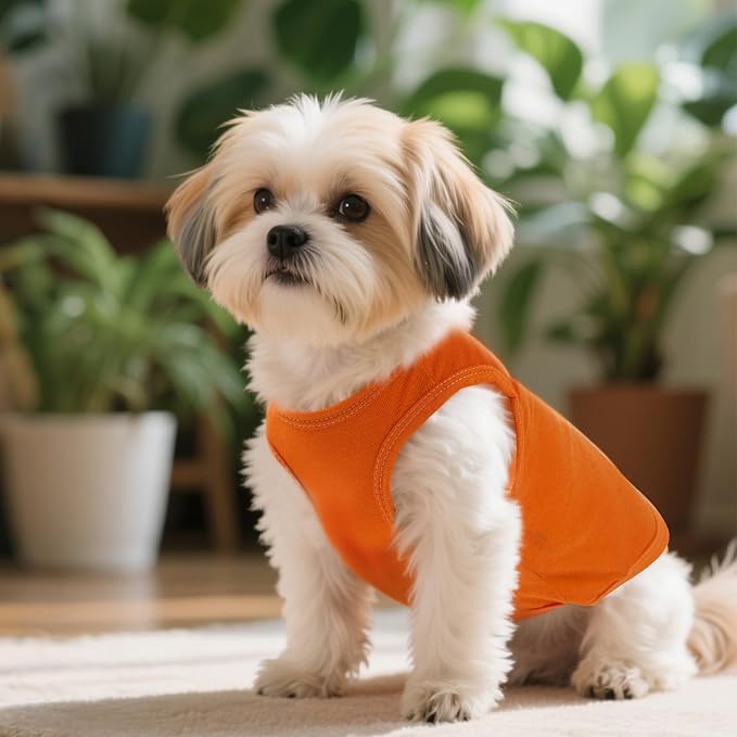 4 Pcs Cat Shirts Solid Color Dog Clothes Summer Sleeveless Pet T Shirts for Small Pet Dogs Cat (Black,Grey,Red,Orange, Large)