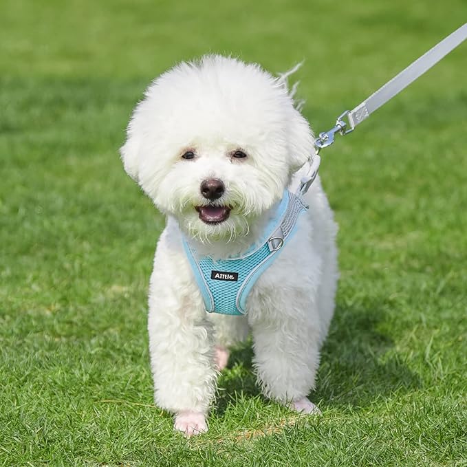 AIITLE Step in Dog Harness and Leash Set - No Pull Escape Proof Vest Harnesses with Soft Mesh and Reflective Bands, Adjustable Pet Outdoor Harnesses for Small and Medium Dogs Blue M