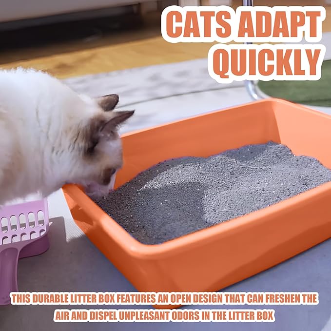 5PCS Small Litter Box, Plastic Kitten Litter Box, 13.9 x 9.8 x 3 Inch Open Litter Box for Small Pet, Easy to Clean (5 Color)