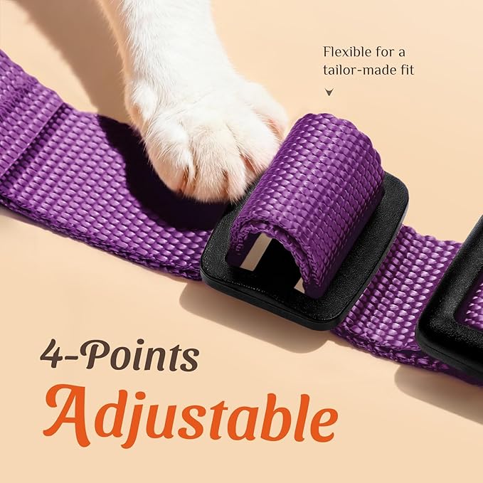 Dooradar Cat Harness and Leash Set, Escape Proof Safe Adjustable Kitten Vest Harnesses for Walking, Easy Control Soft Breathable Mesh Jacket with Reflective Strips for Cats, Purple, S