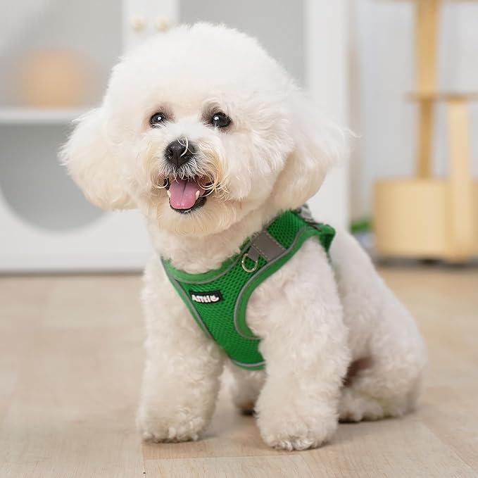 AIITLE Step in Dog Harness and Leash Set - No Pull Escape Proof Vest Harnesses with Soft Mesh and Reflective Bands, Adjustable Pet Outdoor Harnesses for Small and Medium Dogs Green M