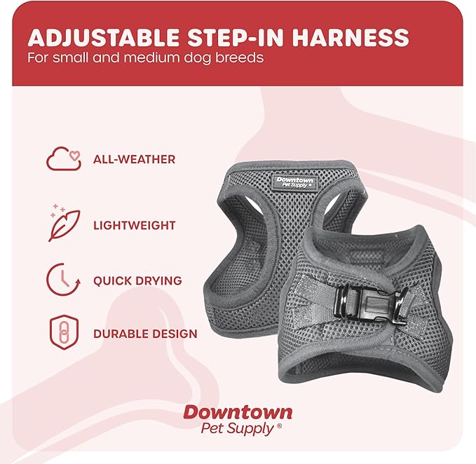 Downtown Pet Supply Step-in Dog Harness – No Pull, Adjustable Padded Mesh with Reflective Trim, Secure Buckle Strap – Comfortable & Breathable Small Dog Harness, Small, Light Gray