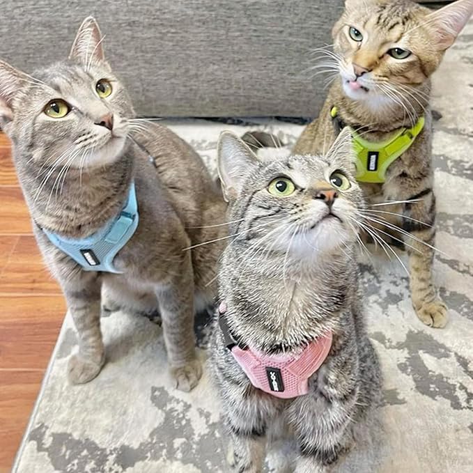 Voyager Escape-Proof Step-in Lock Cat Harness & 5ft Neoprene-Handle Leash Set All-Weather Mesh with Reflective Stitching for Small to Large Cats by Best Pet Supplies, Pink, S