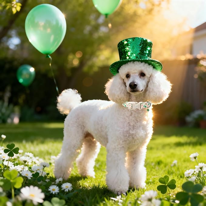St. Patrick's Day Dog Collar for Small Dogs - Cute Shamrock & Rainbow Print Dog Collars, Irish Green Party Puppy Collar, Lightweight Adjustable St. Patricks Day Pet Collars XS