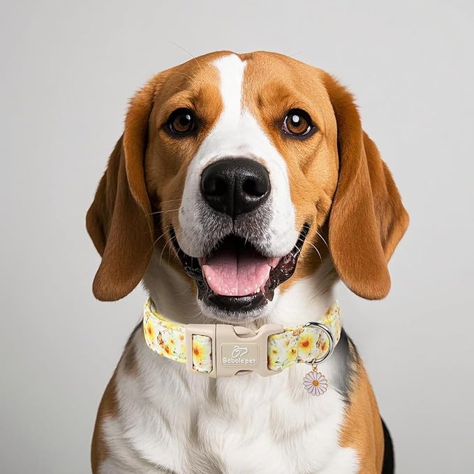 Sunflower Dog Collar, Adjustable Cute Dog Collars for Medium Dogs, Lightweight Summer Fall Pet Collar with Quick-Release Buckle for Boy&Girl Dogs M