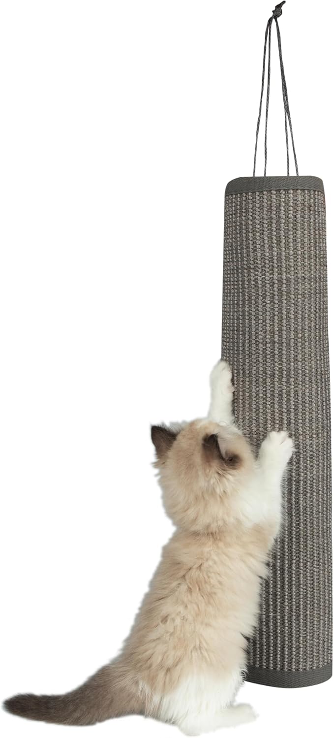 Best Pet Supplies Catify Cat Scratcher, Fun Interactive Scratchers, Posts, Poles, Claw Safe, Furniture Saver Indoor Play Support Natural Cat Behaviors Heavy Duty - Log (Gray)