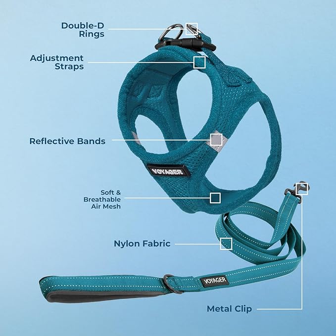 Best Pet Supplies Voyager Step-in Air All Weather Mesh Harness and Reflective Dog 5 ft Leash Combo with Neoprene Handle, for Small, Medium and Large Breed Puppies - Set (Turquoise), L