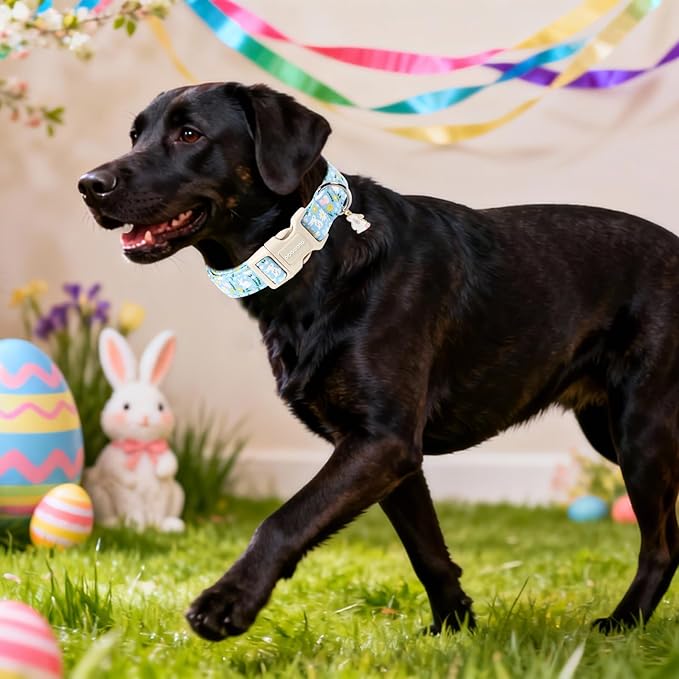 DOGWONG Easter Dog Collar-Cute Easter Rabbit Bunnies Egg Dog Collar, Adjustable Soft Easter Dog Collar for Small Medium Dogs, S